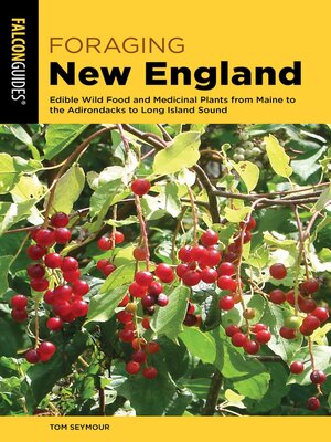 cover image of Foraging New England